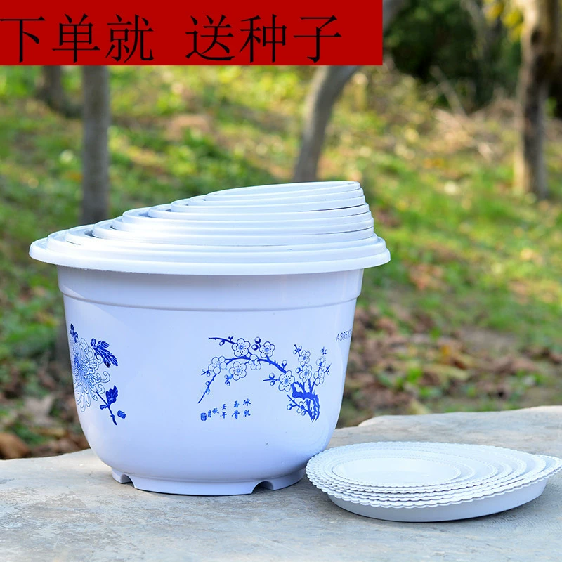 Утолщенный цветочный горшок Пластиковый горшок для зеленой розы Смола мясистый цветочный горшок Большой маленький размер Жесткий пластиковый цветочный горшок для рассады с основанием