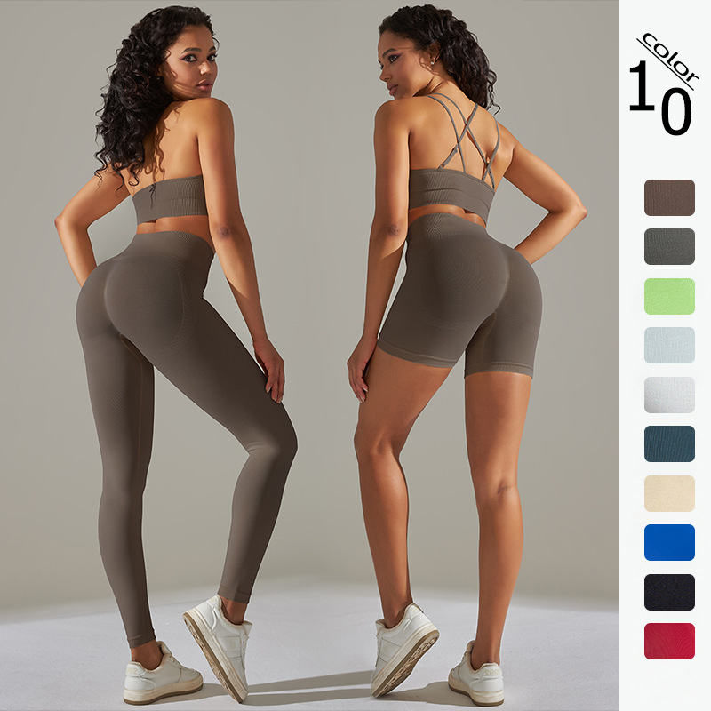Nueva transfronteriza sin costuras color sólido de alta elástica sujetador deportivo ropa interior ropa de yoga traje correr fitness deportes de dos piezas conjunto