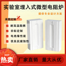 陶瓷纤维实验室埋入式微型电阻炉硅酸铝电阻丝加热炉膛实验用