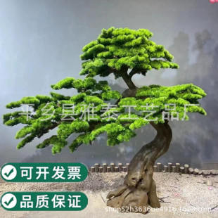 ӭ���ɷ����ɘ��_�h�����ɲ���䓼٘�����ʽ�Ƶ��b����;��^�[��