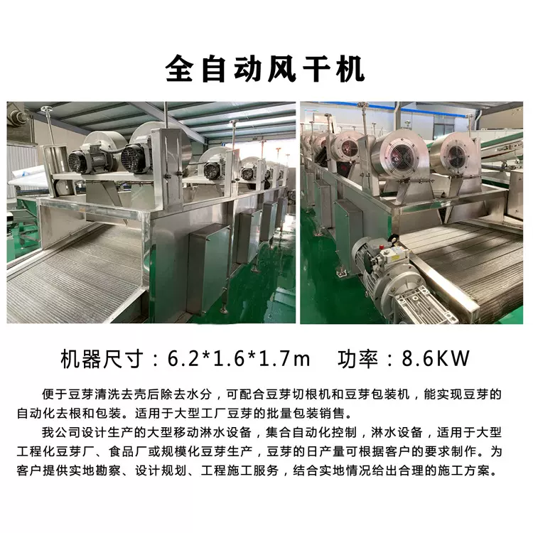 豆芽风干设备 迪生豆芽机械 风干摊晾风干机 加工公司