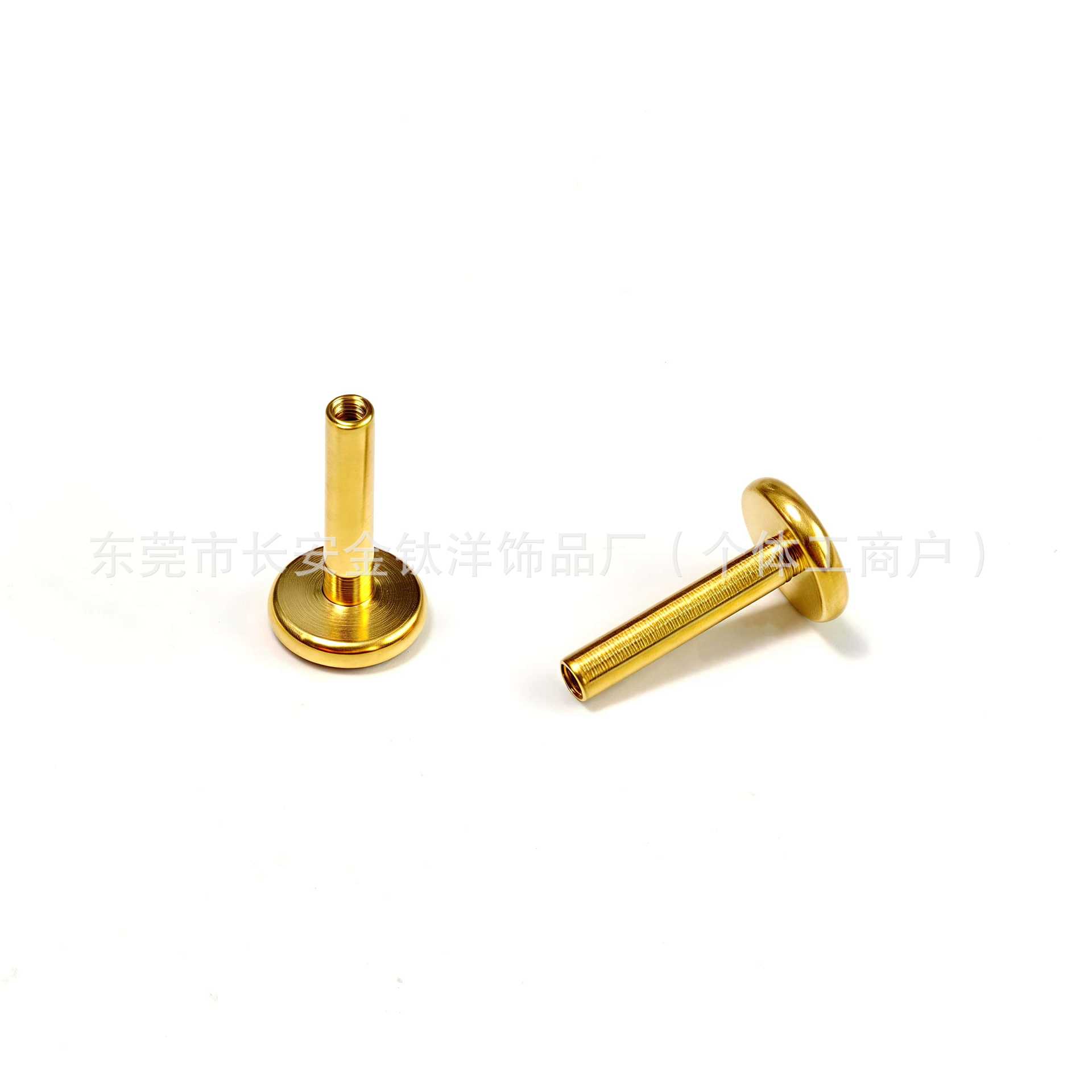 Labret piercing jewelry detail image