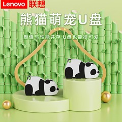 レノボメタルUSBメモリ保護ケース、かわいいコンピューターUSBメモリ、USB2.0シリコン製耐衝撃、携帯電話用ペンダントギフトに最適