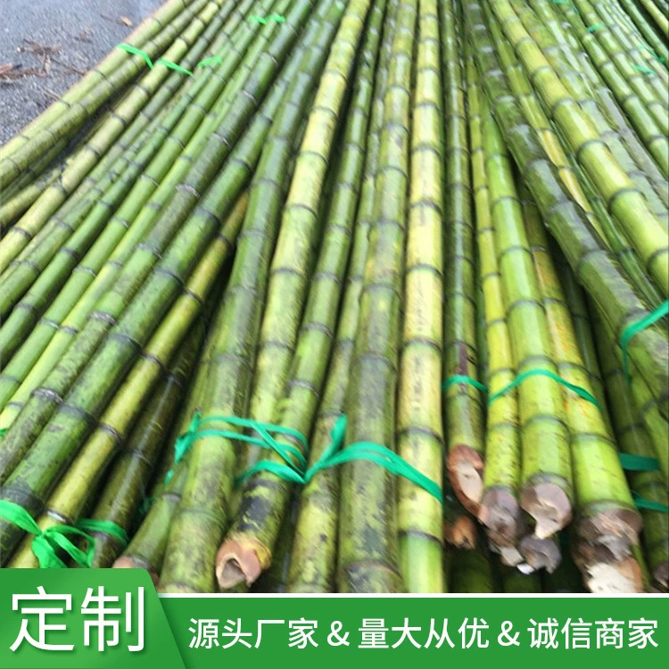 Источник производителей сельскохозяйственных бамбуковых шестов для озеленения фруктов и овощей
