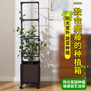 �羳���R�d������Ӻ��L���ηNֲ���ͥ����̨���⻨��M�ϻ���