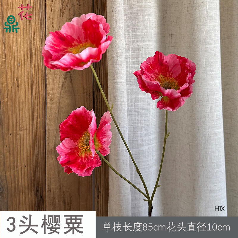 3등 벚꽃 HJX 로즈 레드