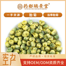 精选桐乡胎菊花批发散装500g杭白菊干菊花茶农产品胎菊花茶胎菊王