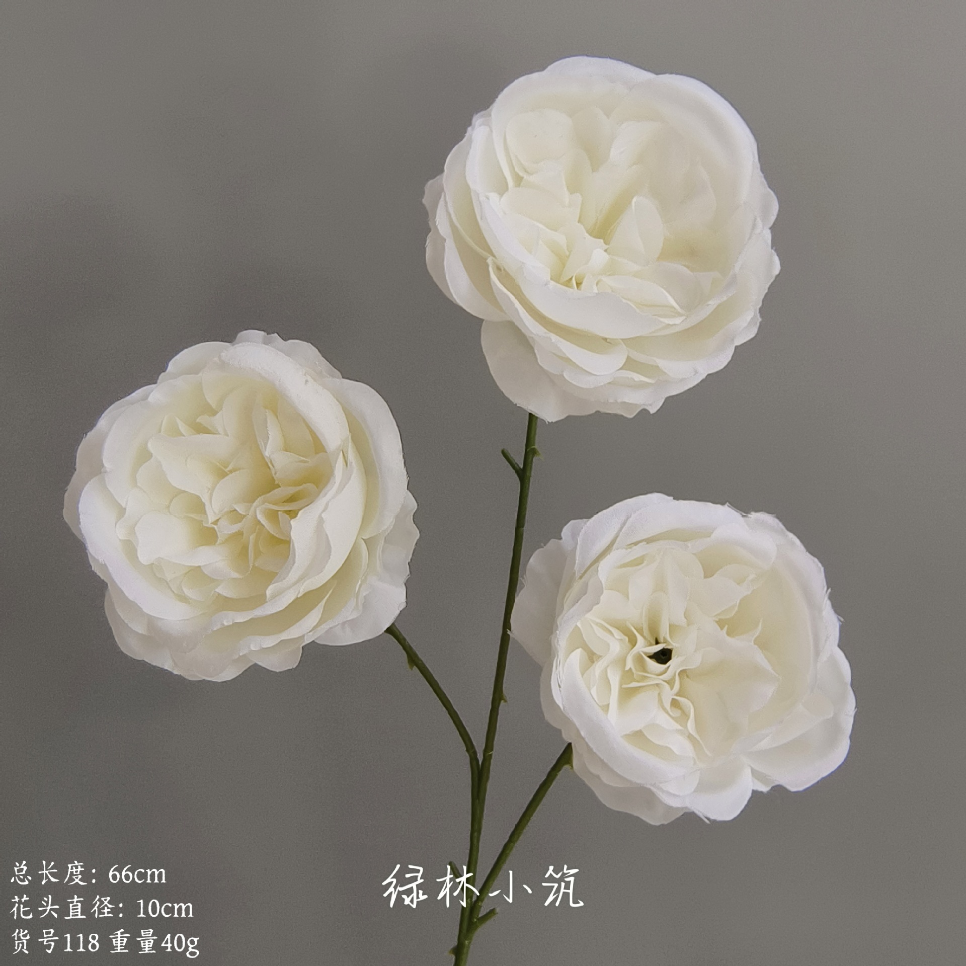머리가 세 개인 오스틴