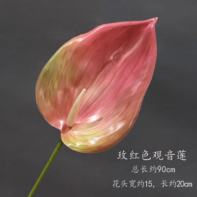 Rosa Roja Guanyin Lotus