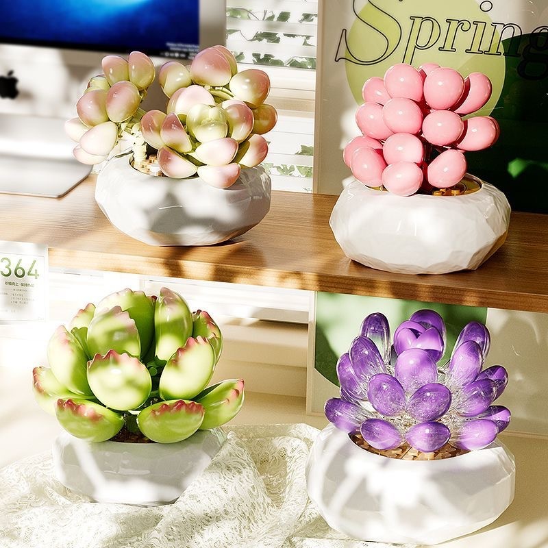 ペンローズ多肉植物ビルディングブロック花植物ビルディングブロック鉢植えデスクトップ装飾品ホリデーギフトビルディングブロック|undefined