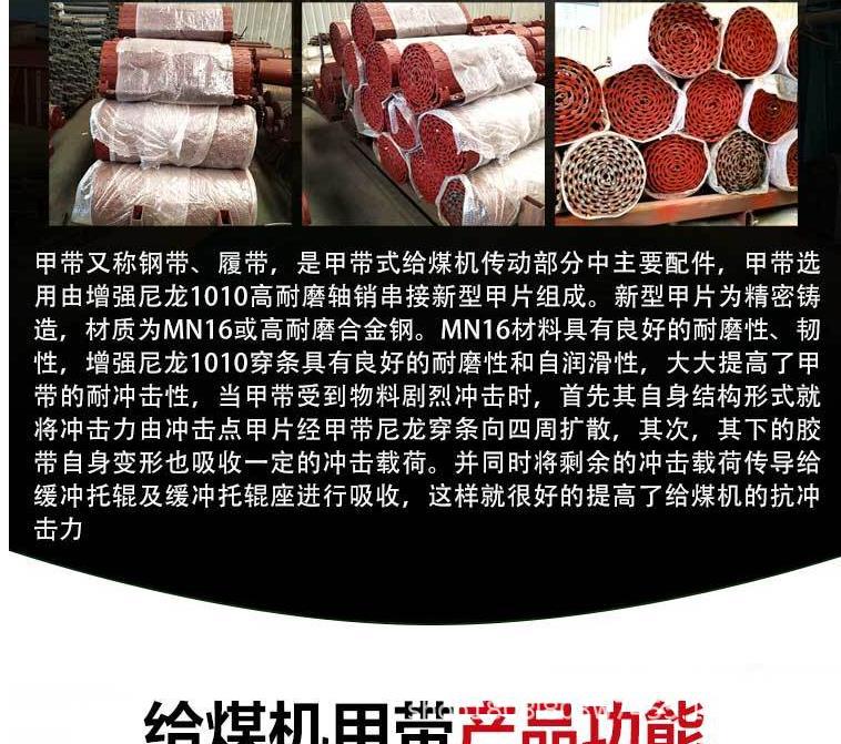 给煤机甲带_2.png