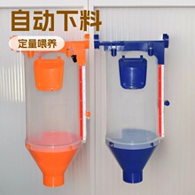 养猪下料器 定量桶定制 鸡鸭舍自动下料器 6L 8L母猪用定料桶