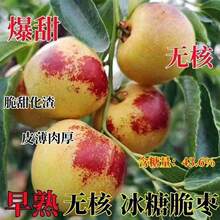 �ش������������Ǵ������綬�����ϱ����Nֲ���Ե����ͺ�����Y��