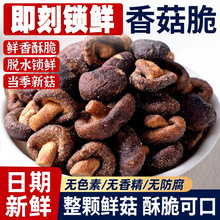 �㹽��500g���ߴ��߲˸�Ģ��Ƭ�ЋD�㹽��Óˮ��ʳС�Լ�ʳ�㹽��