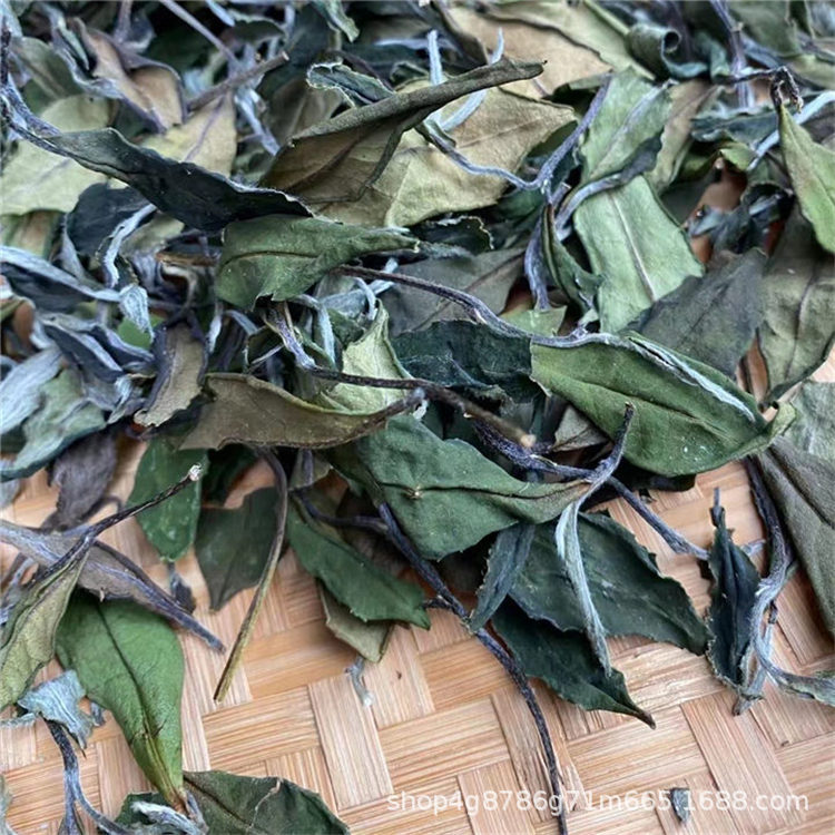 2021春茶牡丹王散茶白露福鼎白茶饼高山日晒白牡丹散装500g散装