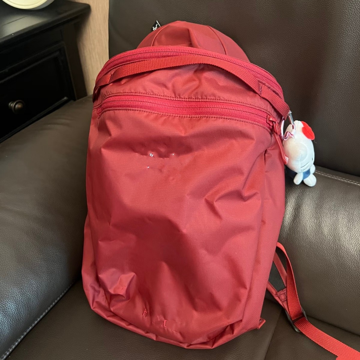 Marca de marea esqueleto de pollo 15L mochila de bordado impermeable, mochila deportiva ligera, bolsa de viaje al aire libre unisex