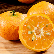 【活动】广西砂糖橘 代发5斤新鲜蜜桔皮薄多汁甜桔子当季孕妇水果