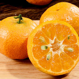 【活动】广西砂糖橘 代发5斤新鲜蜜桔皮薄多汁甜桔子当季孕妇水果