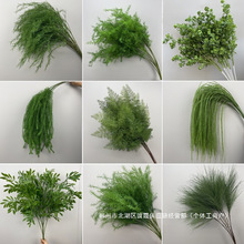 �S��ֱ�N������c�廨�J���ݻ��Ļ��ٻ�������ˇ��픾Gֲ��Y