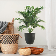 外貿熱帶綠植龜背葉盆栽臥室客廳家居裝飾牆貼貼紙自粘批發跨境