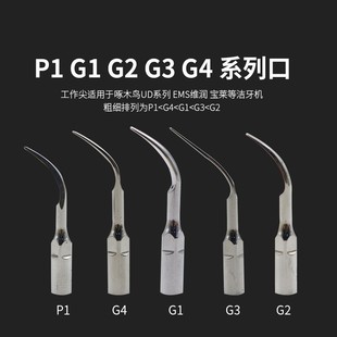 Dental Accessories Pecking m Bird Ultrasonic Dental Scaler Work Tip with Adaptation to Various Dental Scaler Handle Food Grade