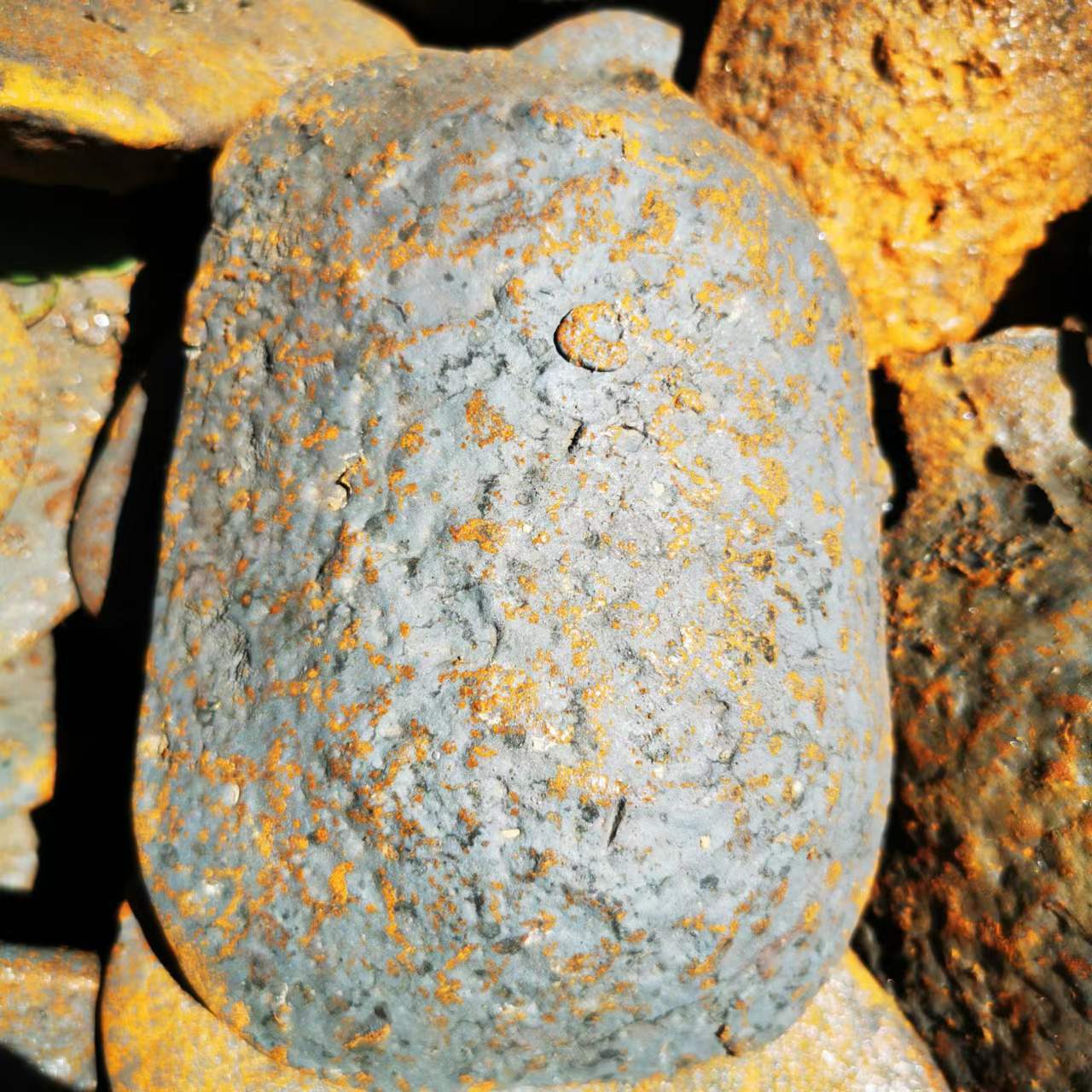 微信图片_20230906090919