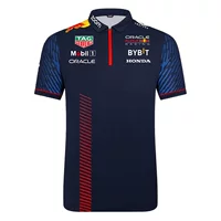Одежда F1 Team, футболка 2023 Новая велосипедная рубашка Red Bull, рубашка-поло с короткими рукавами, Мужская быстросохнущая летняя рабочая одежда для автомобилей