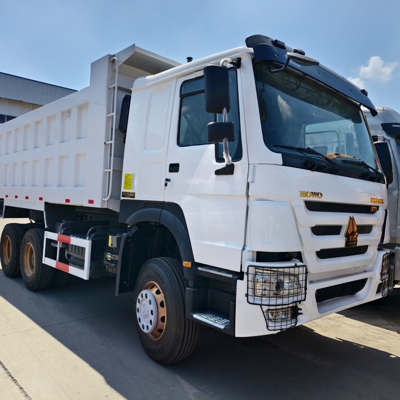 Cross-Border Supply of Sinotruk Howo Dump Truck 8X4 Rear Dump Truck with National Three Diesel Engine