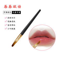 �F؛���l�ڱ���ˢ �����w�Së��ˢ �������yˢ�����o�w7.3