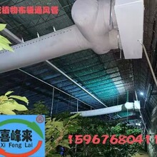 ����ͨ�L���L��----�S���F���r�I���ò����L�ܻ��ܷNֲ���ﲼ����