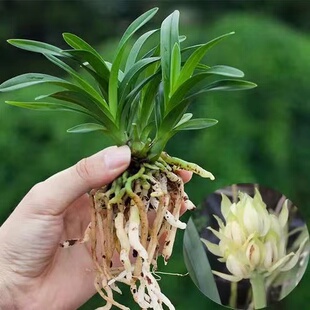 ���~���N �����m�� ��ɏ�� ���m�ļ��m�������ԾGֲ���B�m����