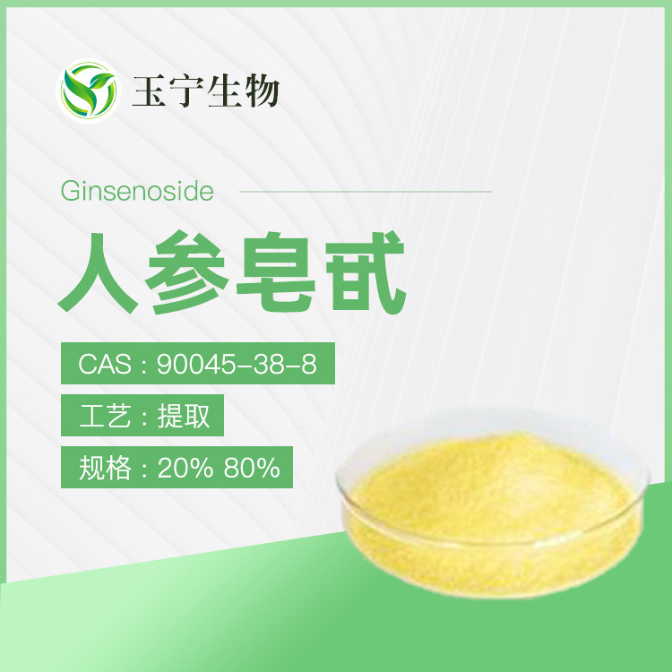 人参茎叶总皂苷 10%-80% 98% 人参提取物