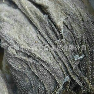 �������l ���a�r��ţ���~ ������������ţ���~��˺���rë��