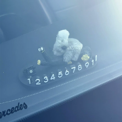 Parking Ornaments, Nömrəli dayanma kartı