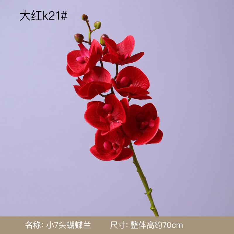 模擬花胡蝶蘭感触蘭単一枝ハイエンド造花感触ヨーロッパスタイルの家の装飾模擬植物|undefined