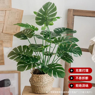 Plant Leaves Potted Turtle Leaves Decorative Ornaments Home Crafts Simulated Green Plants Outdoor Simulated Flowers Wedding