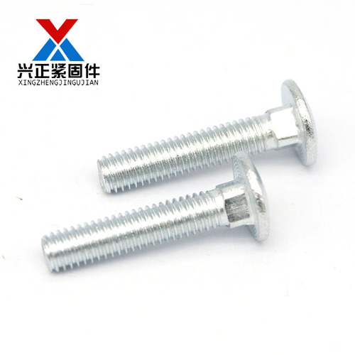 Semi-round head square neck bolt galvanized carriage screw large flat head shelf bolt bridge screw M5M6M8M10M12