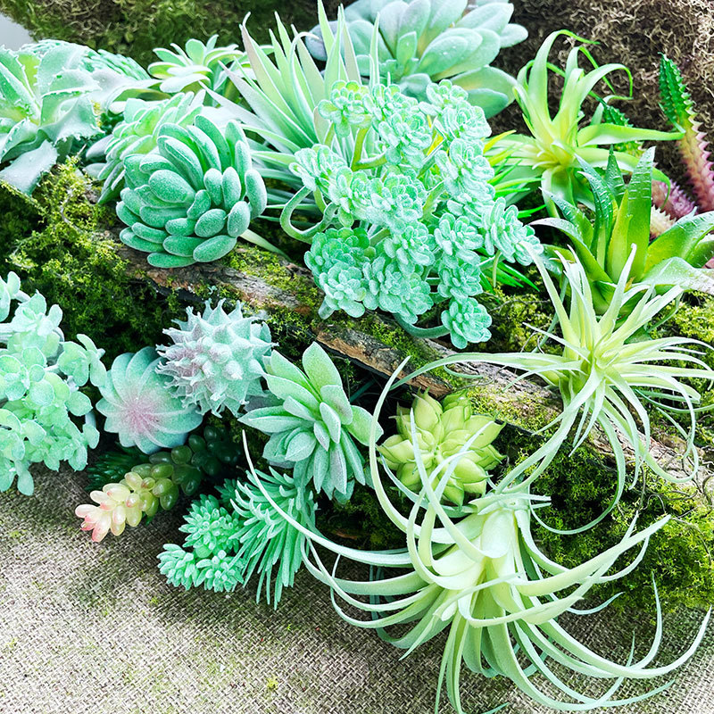 Succulent Plant Ornaments, Fake Green Plant Flower Combination, Ins Style Decoration, Kindergarten Plant Corner Environmental Creation
