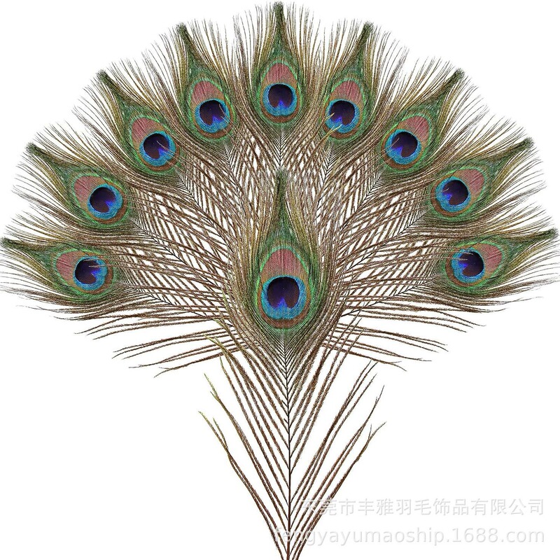 Manufacturer in Stock Wholesale Natural Feathers cm Peacock Tail Feathers Peacock Feathers Peacock Eye Peacock Feathers