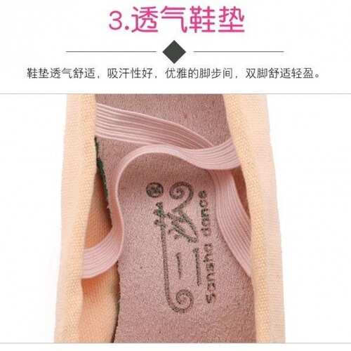 Adult Canvas Shoes Yoga Shoes Women Teacher Bottom Practice Genuine Leather Ballet Shoes Soft Latin Dance Shoes Three Soft Sole Shoes
