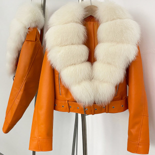 2025�ﶬ�¿��ë�I����ëƤ�����יC܇�LŮʽ�̿�Ƥ�����p�r�п�