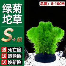 �G��С����~��ˮ��ֲ����Ե�ˮ���֑���ˮ���쾰ˮ��Gֲ��ˮ��