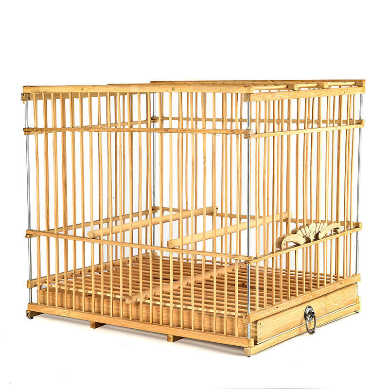 23c7db64-668c-4631-b3fa-6fe4e4cff8f9.jpe