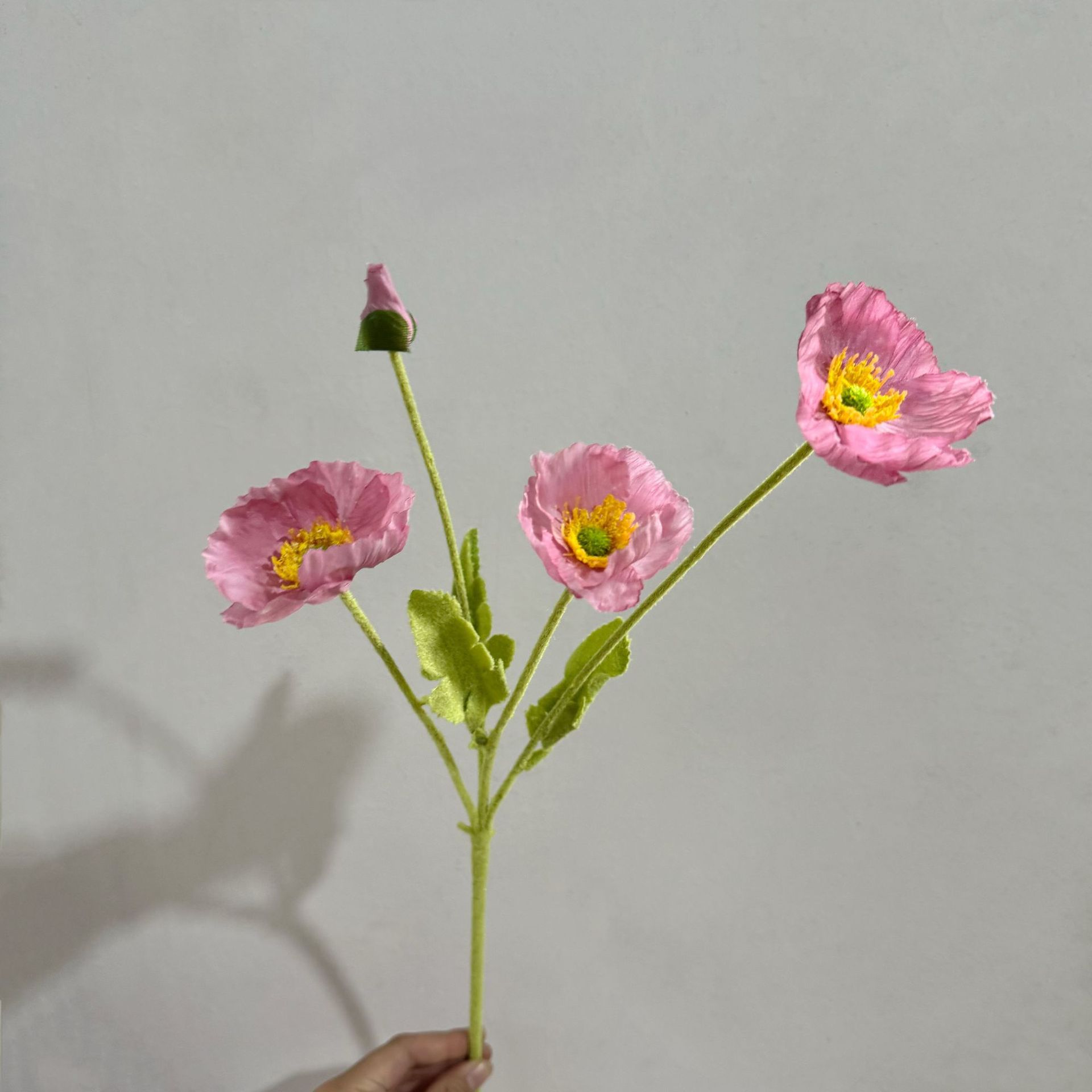 콩 페이스트