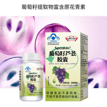 �����ʶ����������J�C�z���{ñ����ʳƷ����ʳƷ���S�ְ�ɫ��