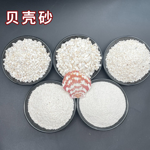 �����eɰؐ��ɰ�S�ҬF؛�����ľ�з����ɳһ̖����̖�쾰����