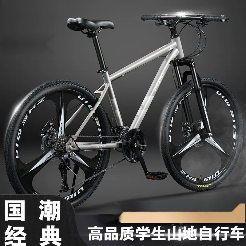 Phoenix, mountain road bike with brake system for elementary school students for adults, 24 inch, for teenagers