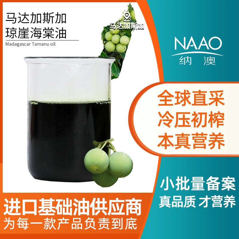 Происхождение Мадагаскара Прямо в Qiongya Begonia