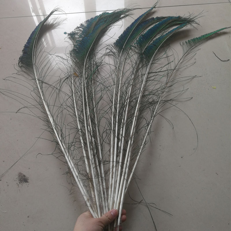 Plumas de pavón real plumas naturales materiales DIY de alta calidad decoración porche ornamentos plumas verdaderas decoración para el hogar para el budista plumas de pavón