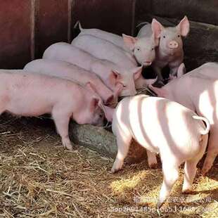 �����L̫���i���i��s��ĸ�i��Ԫ̫��ĸ�i����˷N���i�K̫�Bֳ�i